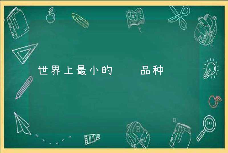 世界上最小的鲨鱼品种 世界上最小的鲨鱼品种