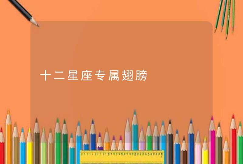 十二星座专属翅膀 十二星座专属翅膀