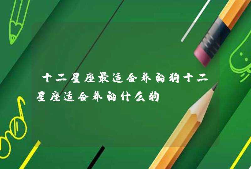 十二星座最适合养的狗十二星座适合养的什么狗 十二星座最适合养的狗十二星座适合养的什么狗