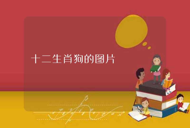 十二生肖狗的图片 十二生肖狗的图片