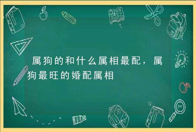 属狗的和什么属相最配,属狗最旺的婚配属相 属狗的和什么属相最配,属狗最旺的婚配属相