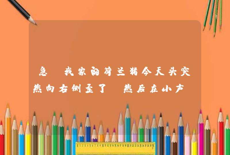 急!我家的荷兰猪今天头突然向右侧歪了,然后在小声“咕咕”叫,它是不是病了?怎么回事呢? 急!我家的荷兰猪今天头突然向右侧歪了,然后在小声“咕咕”叫,它是不是病了?怎么回事呢?