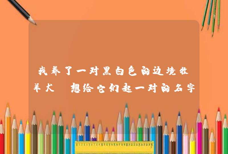 我养了一对黑白色的边境牧羊犬,想给它们起一对的名字,该怎么起,显的既有文彩又能顺口自然? 我养了一对黑白色的边境牧羊犬,想给它们起一对的名字,该怎么起,显的既有文彩又能顺口自然?