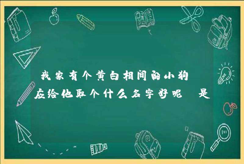 我家有个黄白相间的小狗,应给他取个什么名字好呢。是个丝毛狗 我家有个黄白相间的小狗,应给他取个什么名字好呢。是个丝毛狗