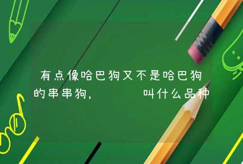 有点像哈巴狗又不是哈巴狗的串串狗,请问该叫什么品种的狗呢,名字是什么 有点像哈巴狗又不是哈巴狗的串串狗,请问该叫什么品种的狗呢,名字是什么