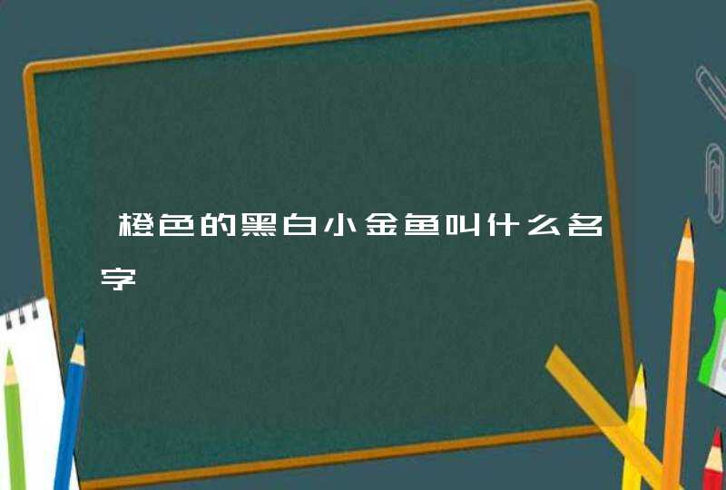 橙色的黑白小金鱼叫什么名字 橙色的黑白小金鱼叫什么名字