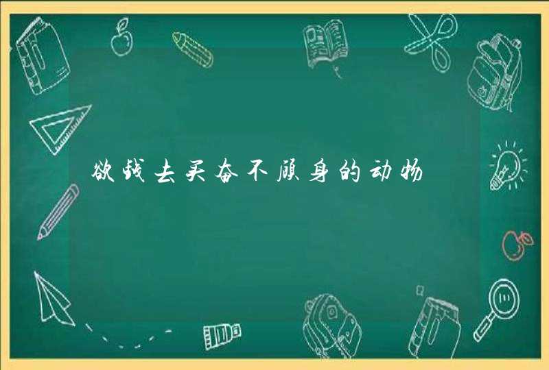 欲钱去买奋不顾身的动物 欲钱去买奋不顾身的动物