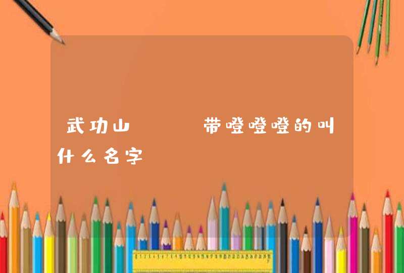 武功山bgm带噔噔噔的叫什么名字 武功山bgm带噔噔噔的叫什么名字