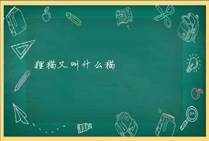 狸猫又叫什么猫 狸猫又叫什么猫