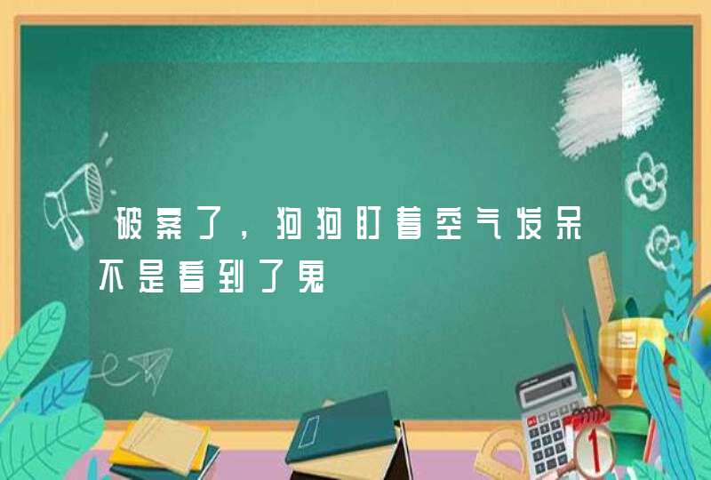 破案了,狗狗盯着空气发呆不是看到了鬼 破案了,狗狗盯着空气发呆不是看到了鬼