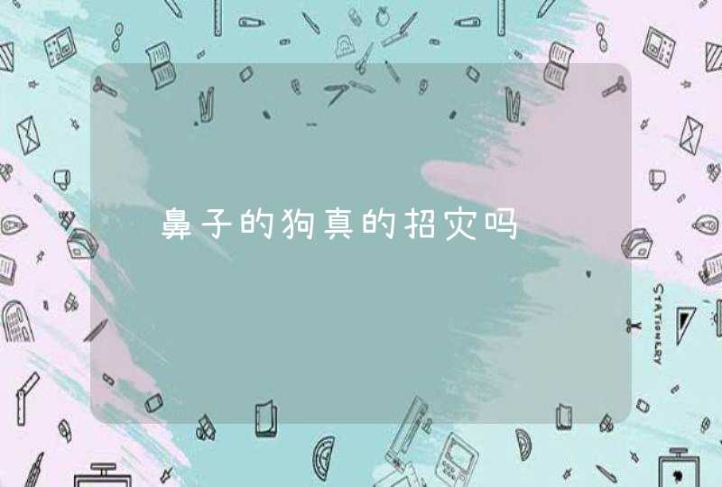 红鼻子的狗真的招灾吗 红鼻子的狗真的招灾吗