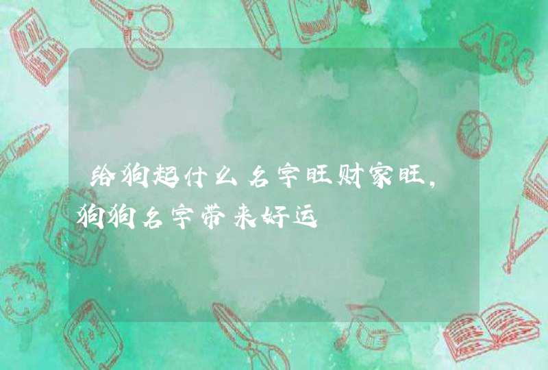 给狗起什么名字旺财家旺,狗狗名字带来好运 给狗起什么名字旺财家旺,狗狗名字带来好运