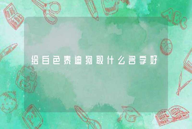 给白色泰迪狗取什么名字好 给白色泰迪狗取什么名字好