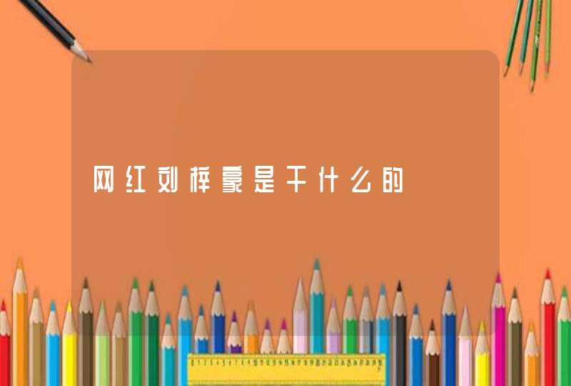 网红刘梓豪是干什么的 网红刘梓豪是干什么的