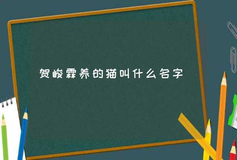 贺峻霖养的猫叫什么名字 贺峻霖养的猫叫什么名字