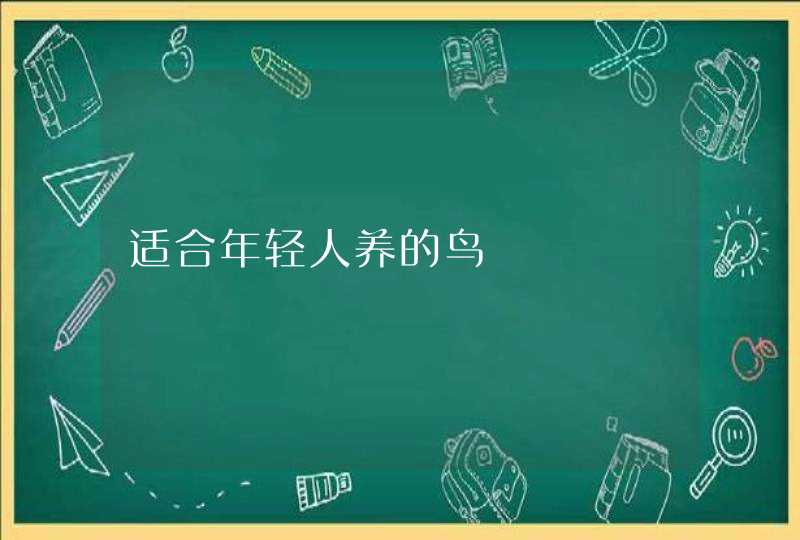 适合年轻人养的鸟 适合年轻人养的鸟
