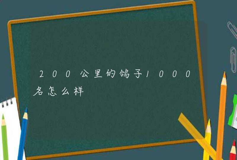 200公里的鸽子1000名怎么样 200公里的鸽子1000名怎么样