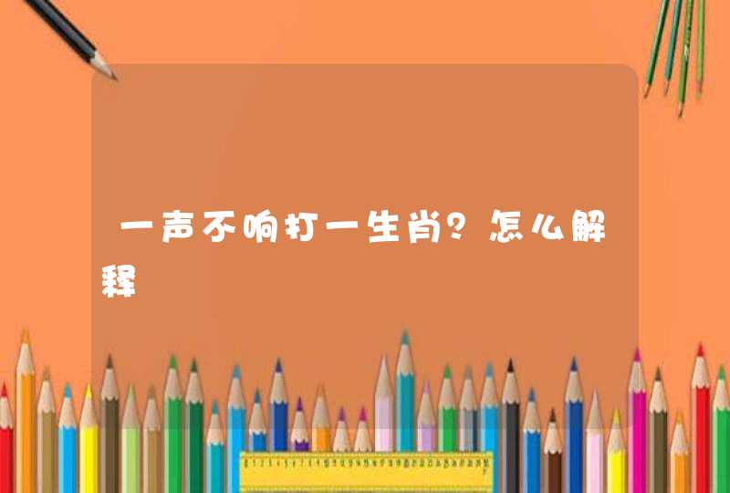 一声不响打一生肖？怎么解释