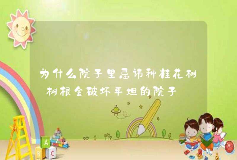 为什么院子里忌讳种桂花树_树根会破坏平坦的院子