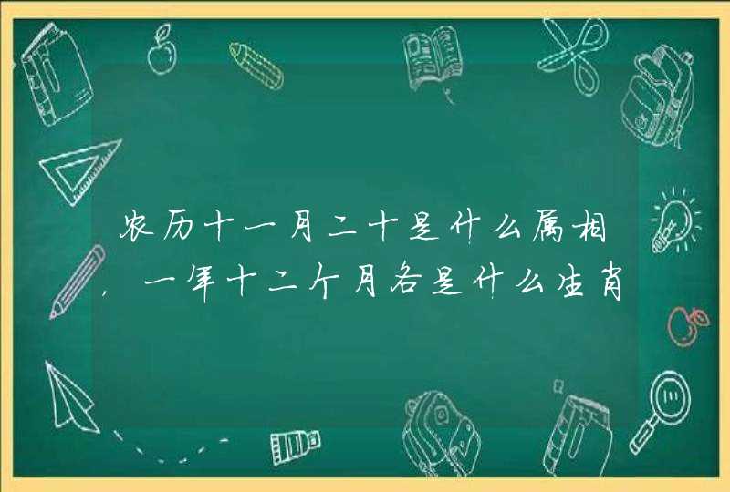 农历十一月二十是什么属相，一年十二个月各是什么生肖月？