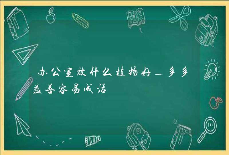 办公室放什么植物好_多多益善容易成活