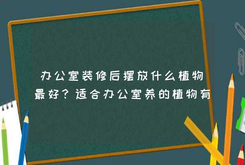 办公室装修后摆放什么植物最好？适合办公室养的植物有哪些？_青岛办公室装修