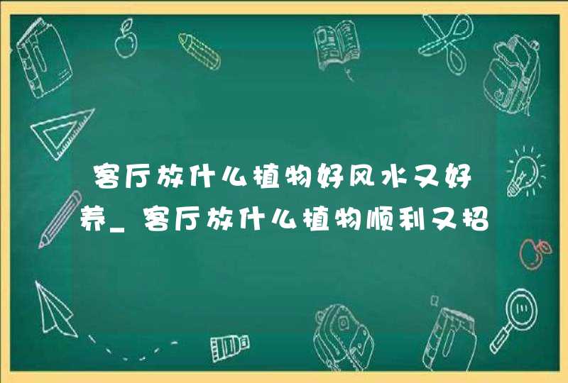 客厅放什么植物好风水又好养_客厅放什么植物顺利又招财