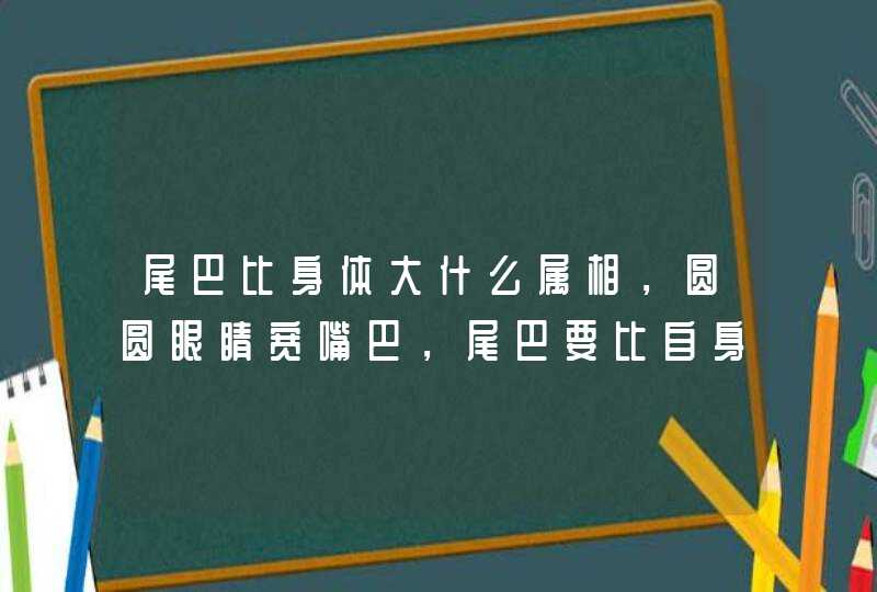尾巴比身体大什么属相，圆圆眼睛宽嘴巴，尾巴要比自身体大，猜生肖