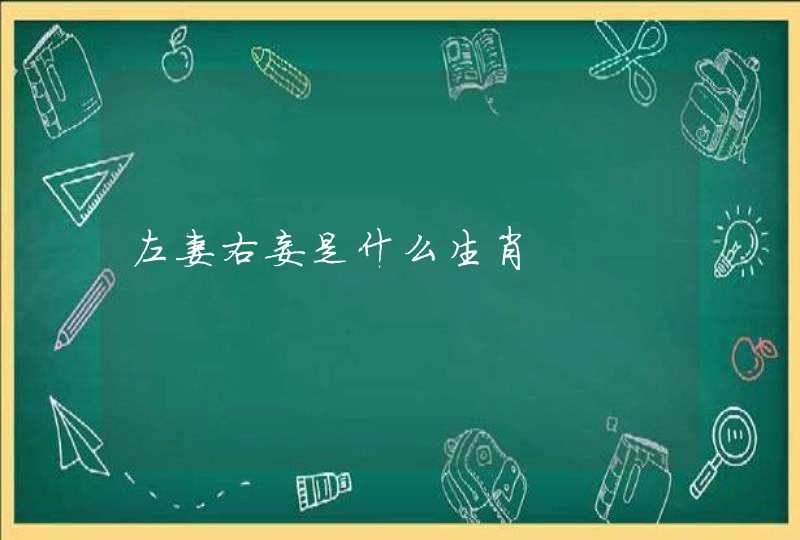 左妻右妾是什么生肖