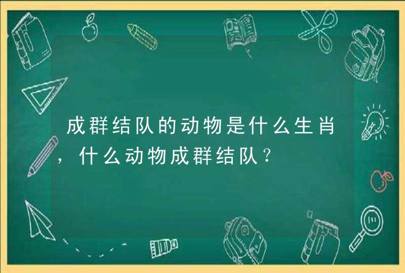 成群结队的动物是什么生肖，什么动物成群结队？