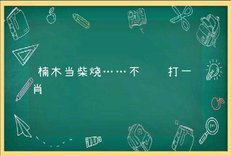 楠木当柴烧……不识货打一肖