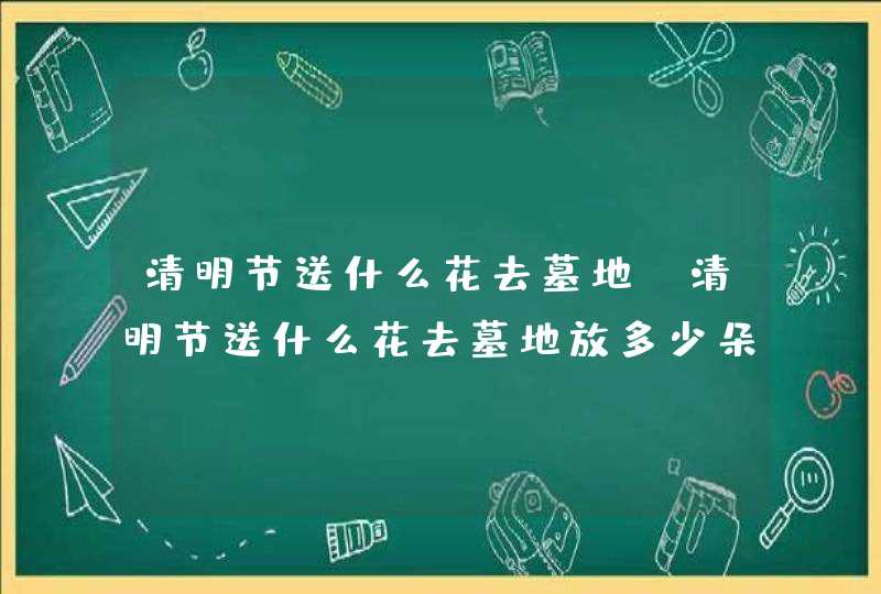 清明节送什么花去墓地_清明节送什么花去墓地放多少朵