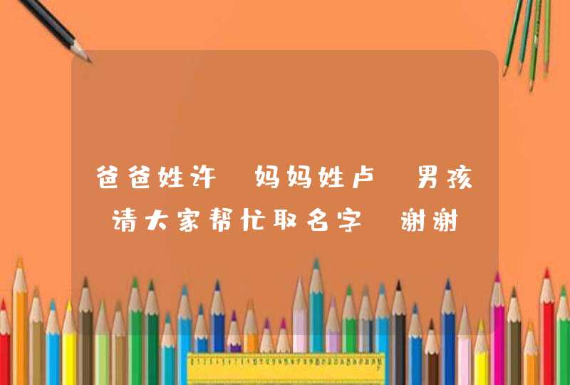 爸爸姓许，妈妈姓卢，男孩，请大家帮忙取名字，谢谢！！！