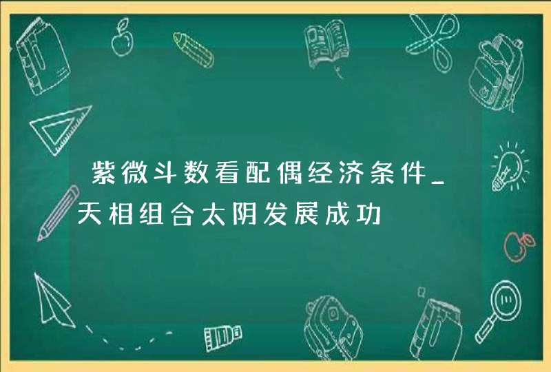 紫微斗数看配偶经济条件_天相组合太阴发展成功