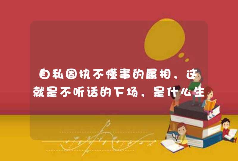 自私固执不懂事的属相，这就是不听话的下场，是什么生肖