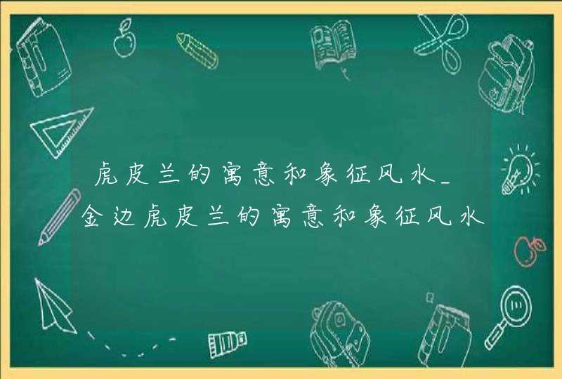 虎皮兰的寓意和象征风水_金边虎皮兰的寓意和象征风水