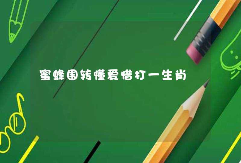 蜜蜂围转懂爱惜打一生肖