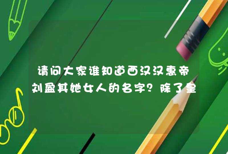 请问大家谁知道西汉汉惠帝刘盈其她女人的名字？除了皇后