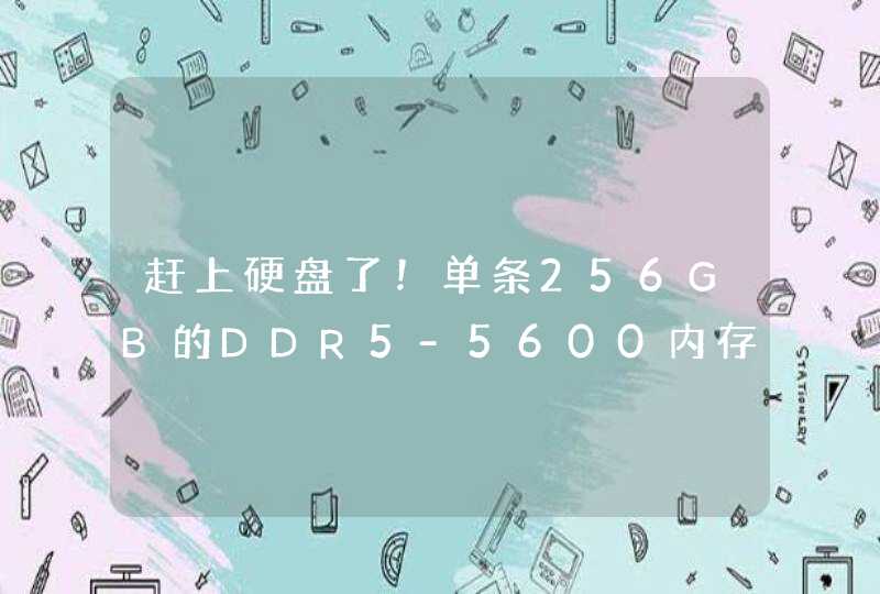 赶上硬盘了！单条256GB的DDR5-5600内存条亮相：单路服务器插满可达4TB