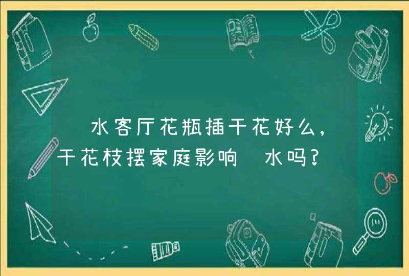 风水客厅花瓶插干花好么,干花枝摆家庭影响风水吗?