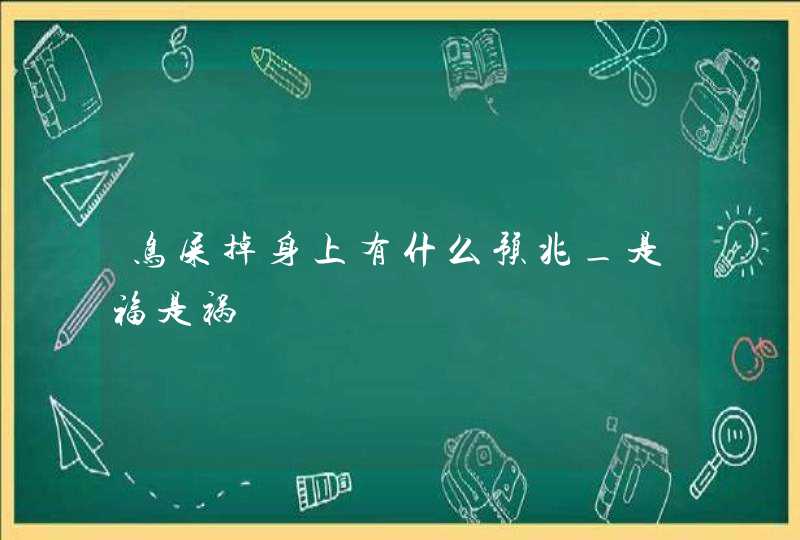 鸟屎掉身上有什么预兆_是福是祸