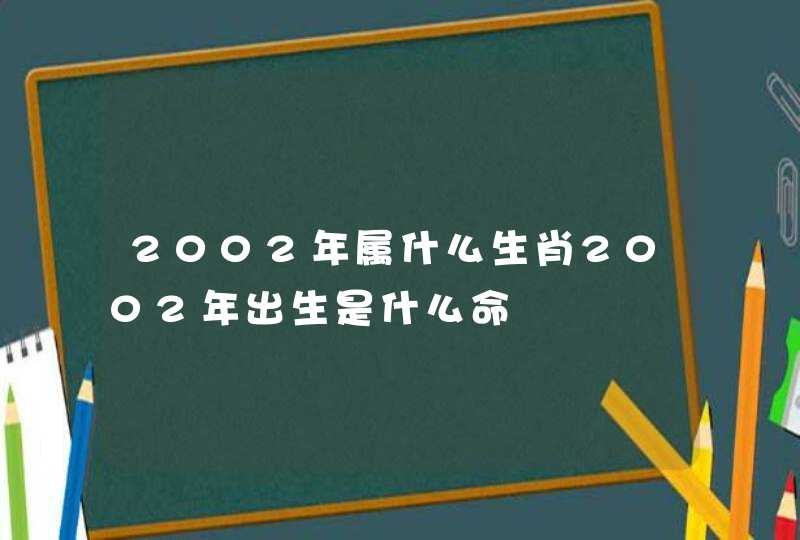 2002年属什么生肖2002年出生是什么命