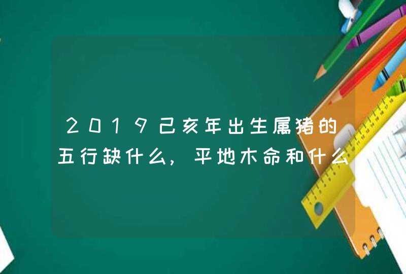 2019己亥年出生属猪的五行缺什么,平地木命和什么相生相克
