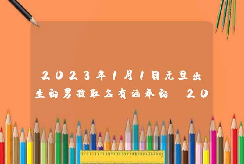 2023年1月1日元旦出生的男孩取名有涵养的_2023年1月1日属什么